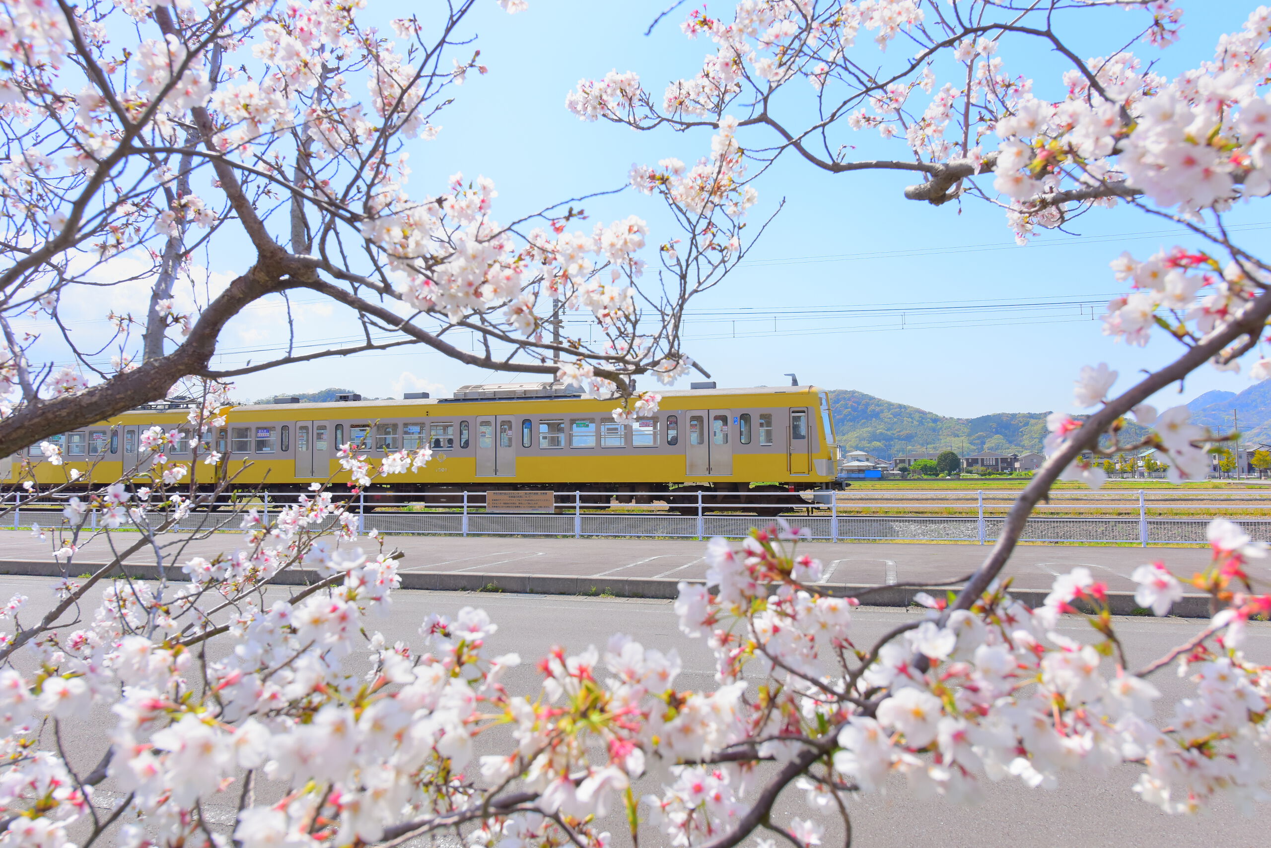 Izuhakone Line 1-Day Pass (Rail & Bus)