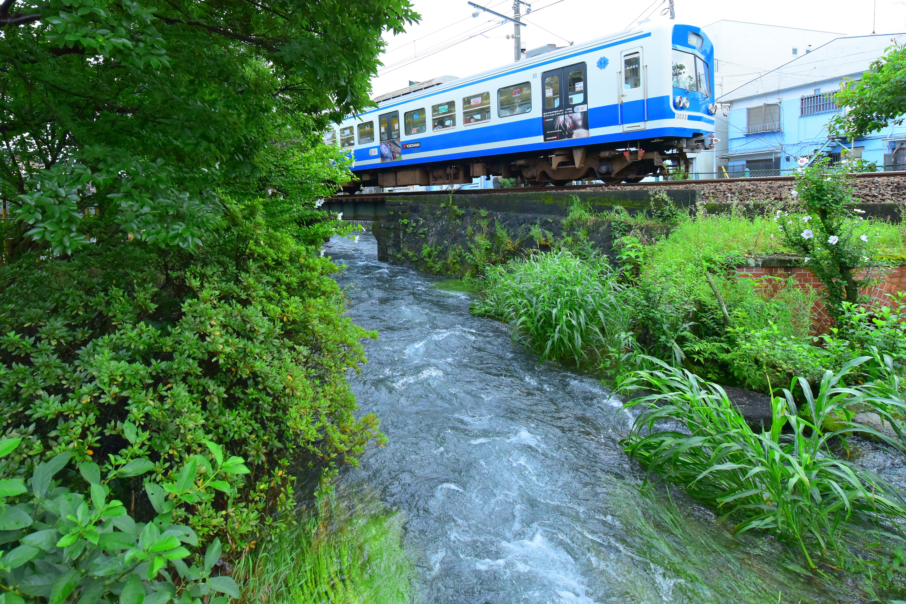 Izuhakone Line 2-Day Pass (Rail & Bus)