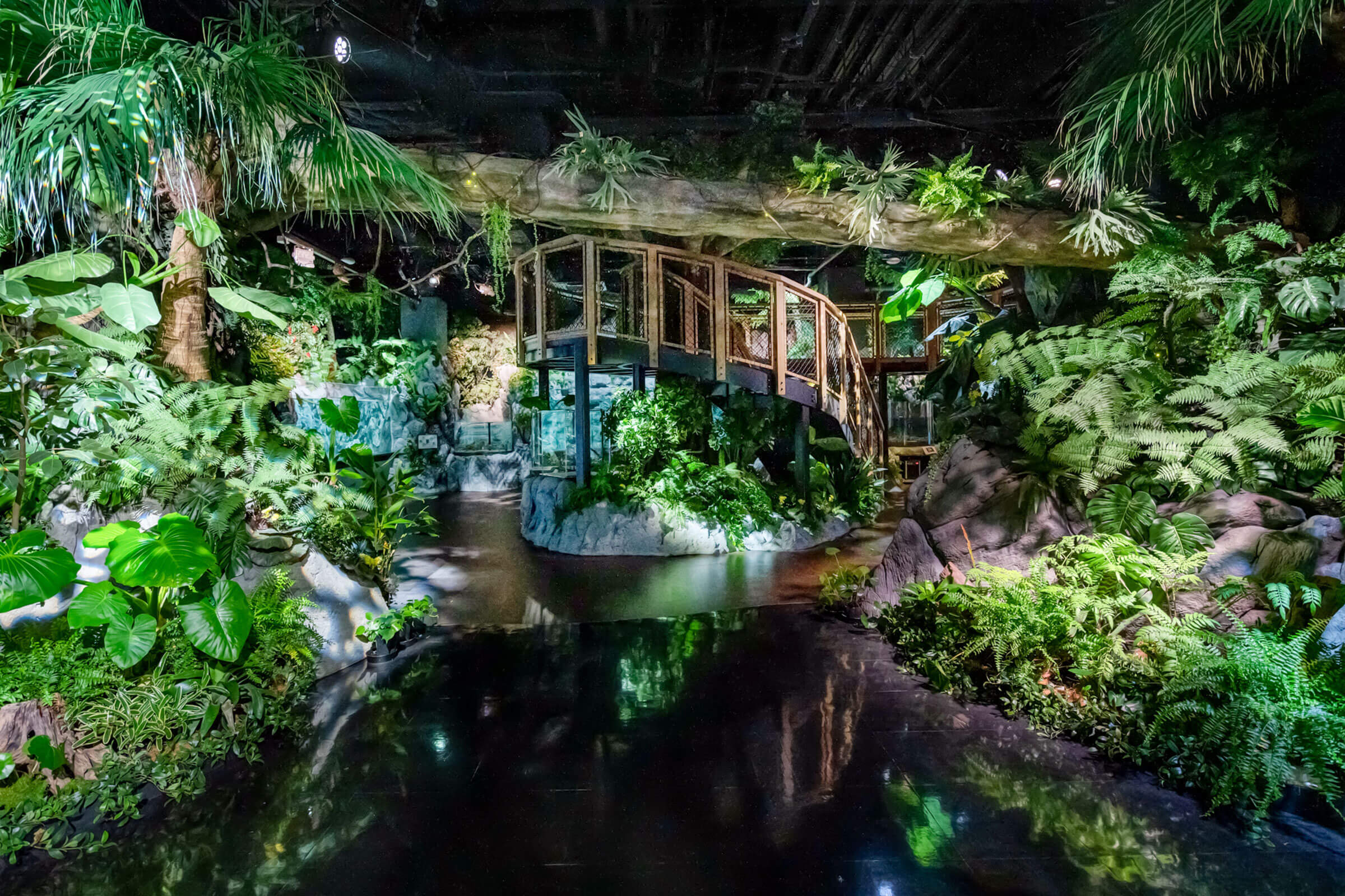 DMM Kariyushi Aquarium Admission Ticket