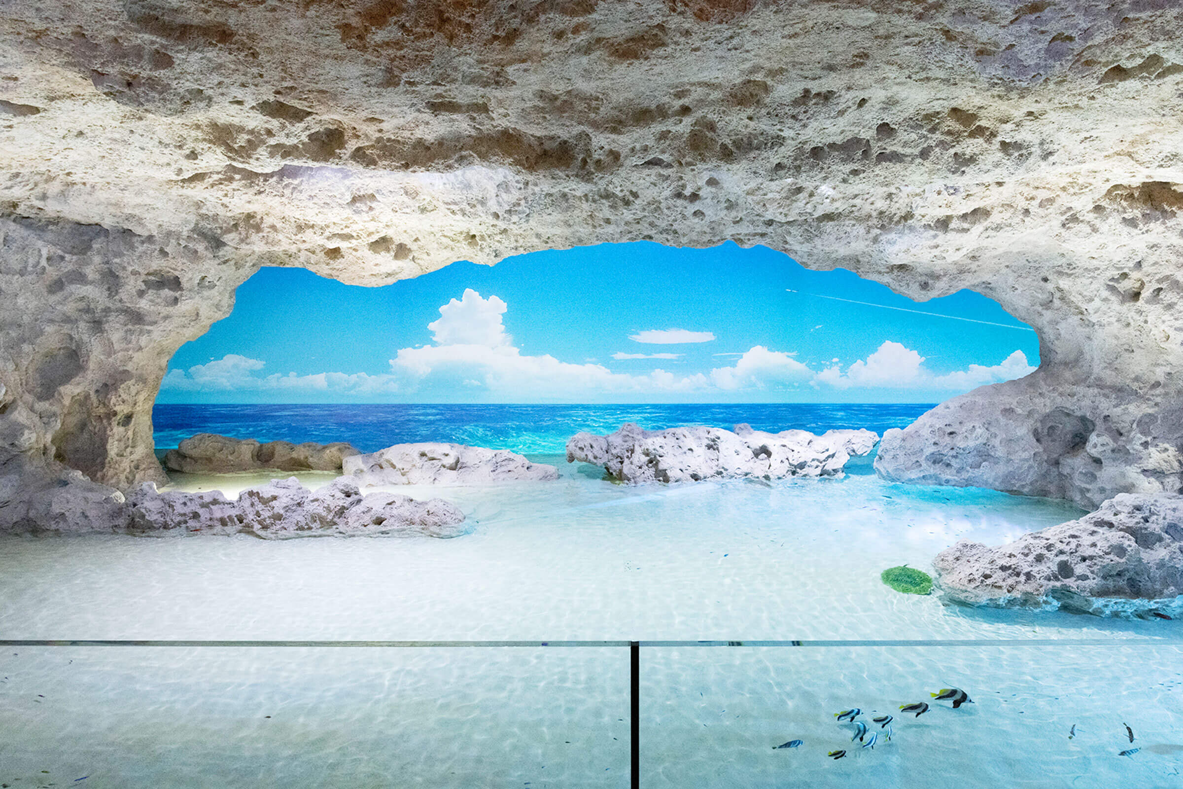 DMM Kariyushi Aquarium Admission Ticket