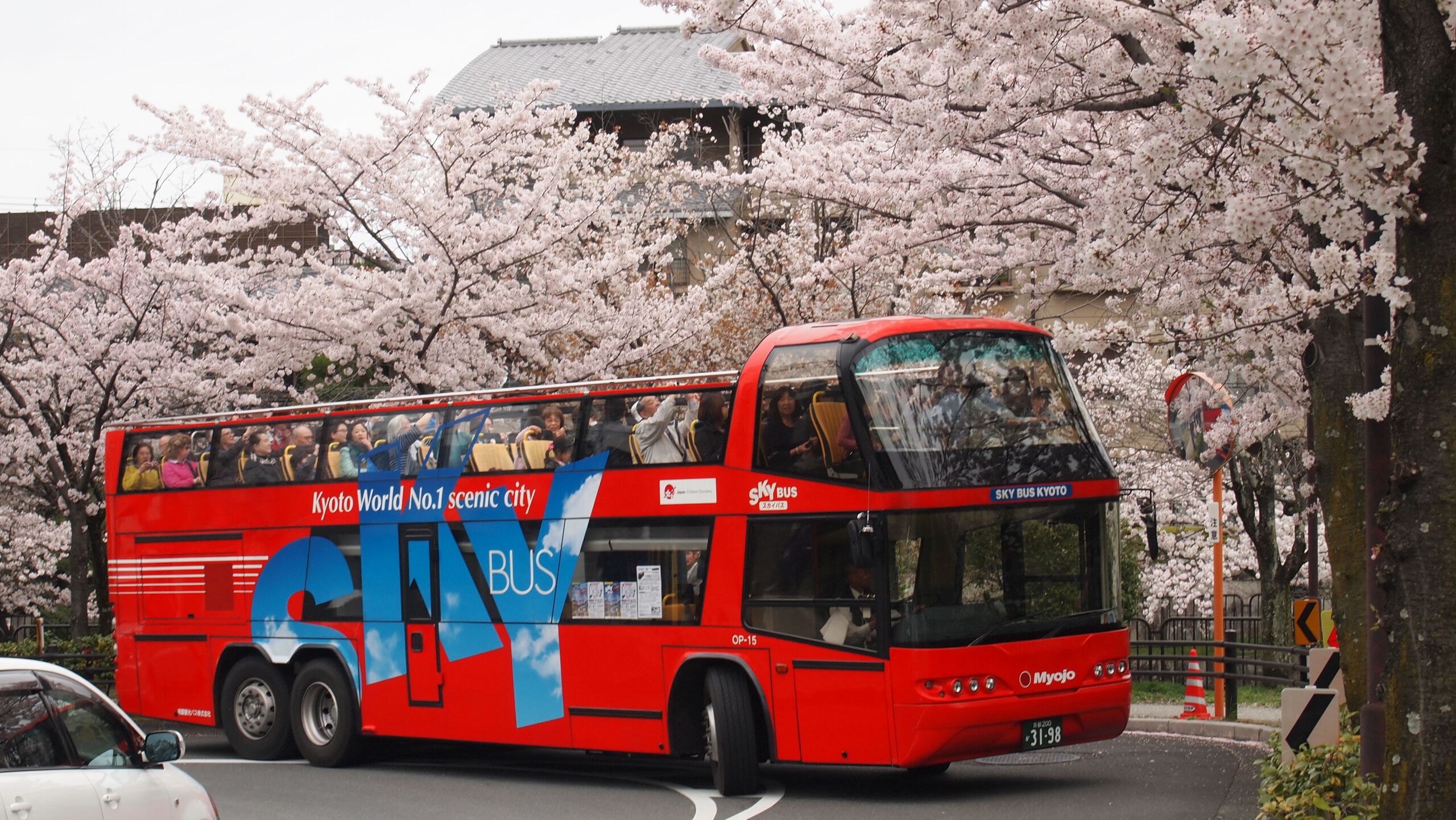SKY HOP BUS KYOTO(Hop-on Hop-off Bus Kyoto)
