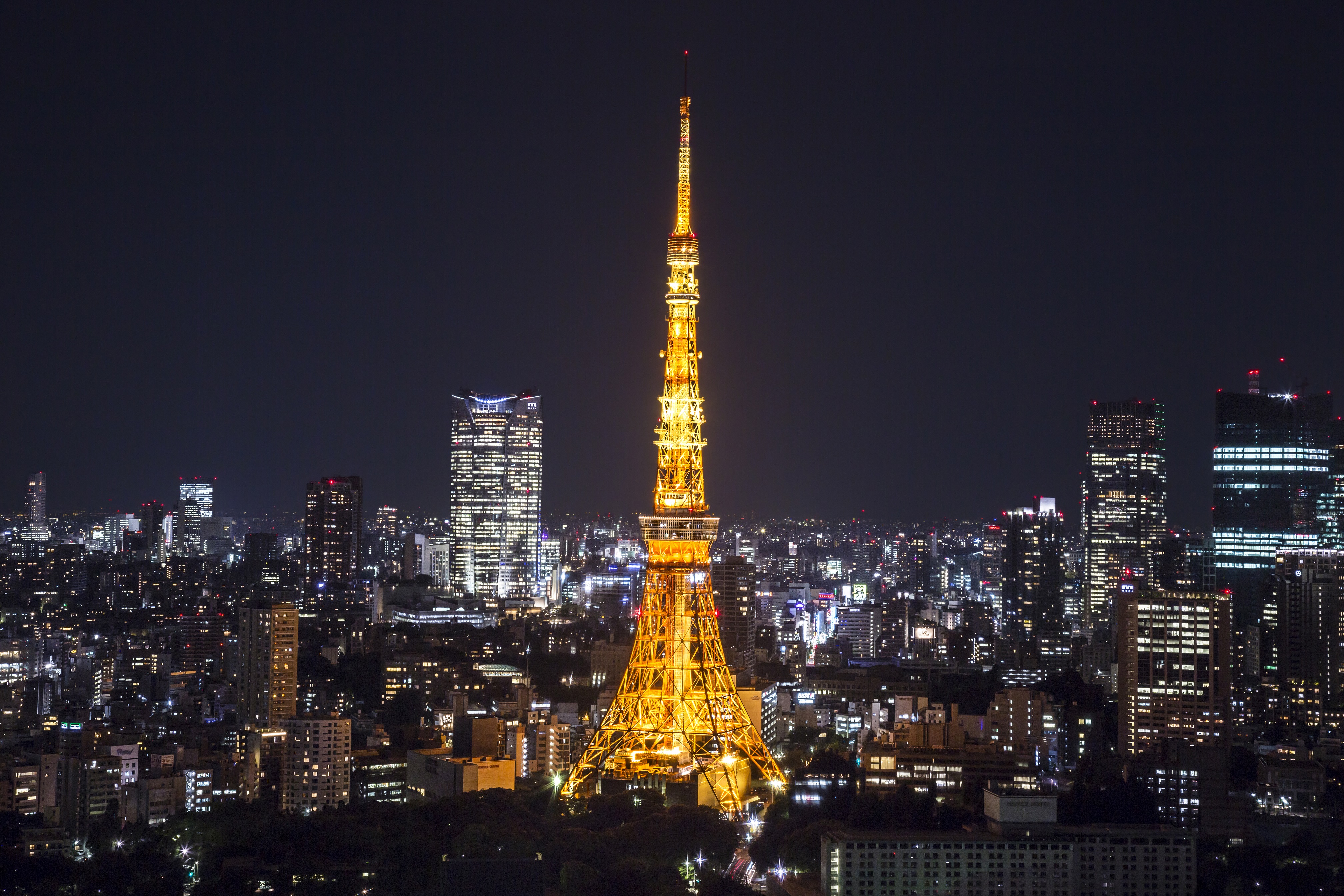 Tokyo Tower Observatory Admission Ticket