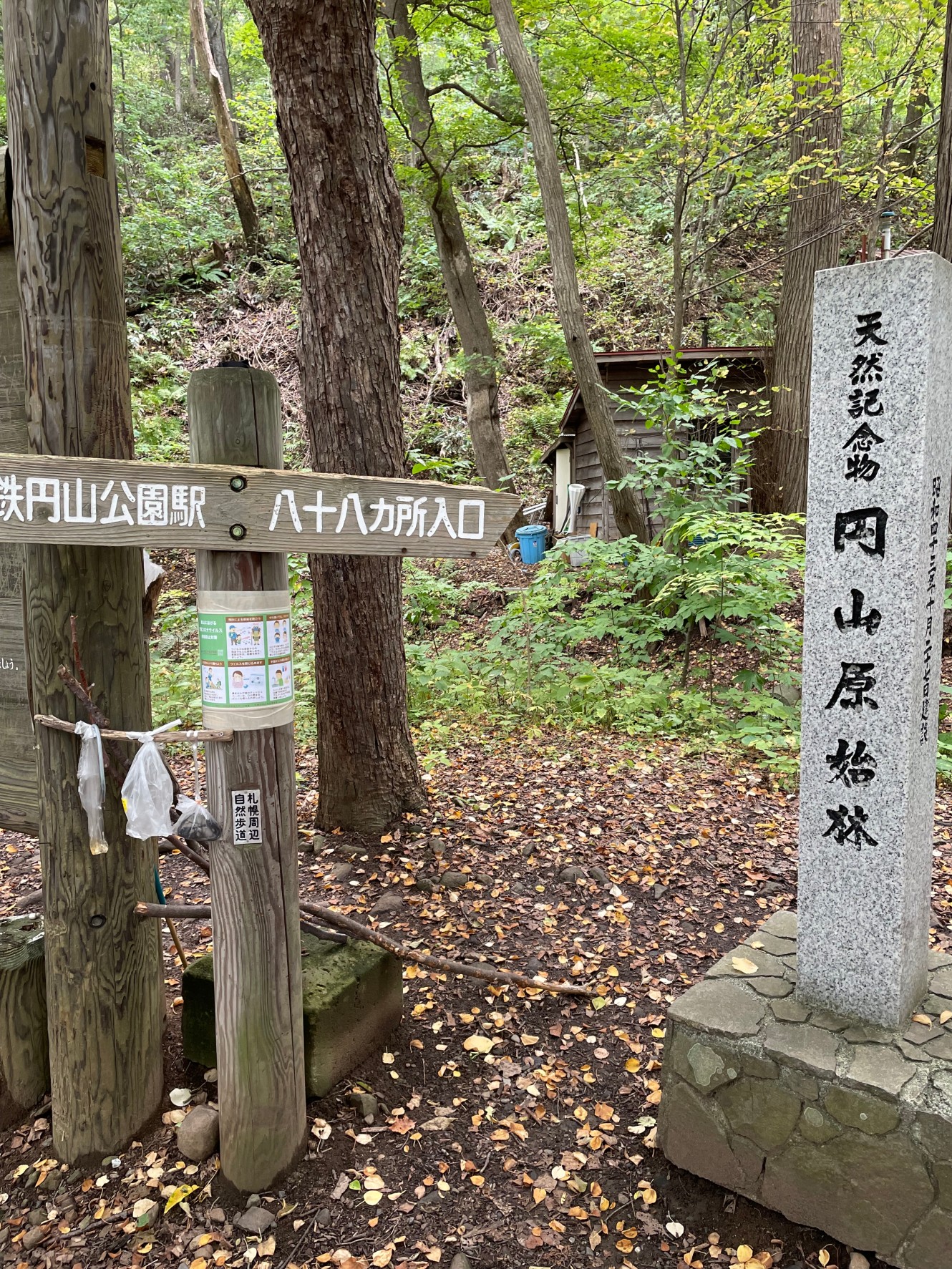 【ネイチャーガイド付き半日コース】札幌を一望　円山森林浴ハイキング