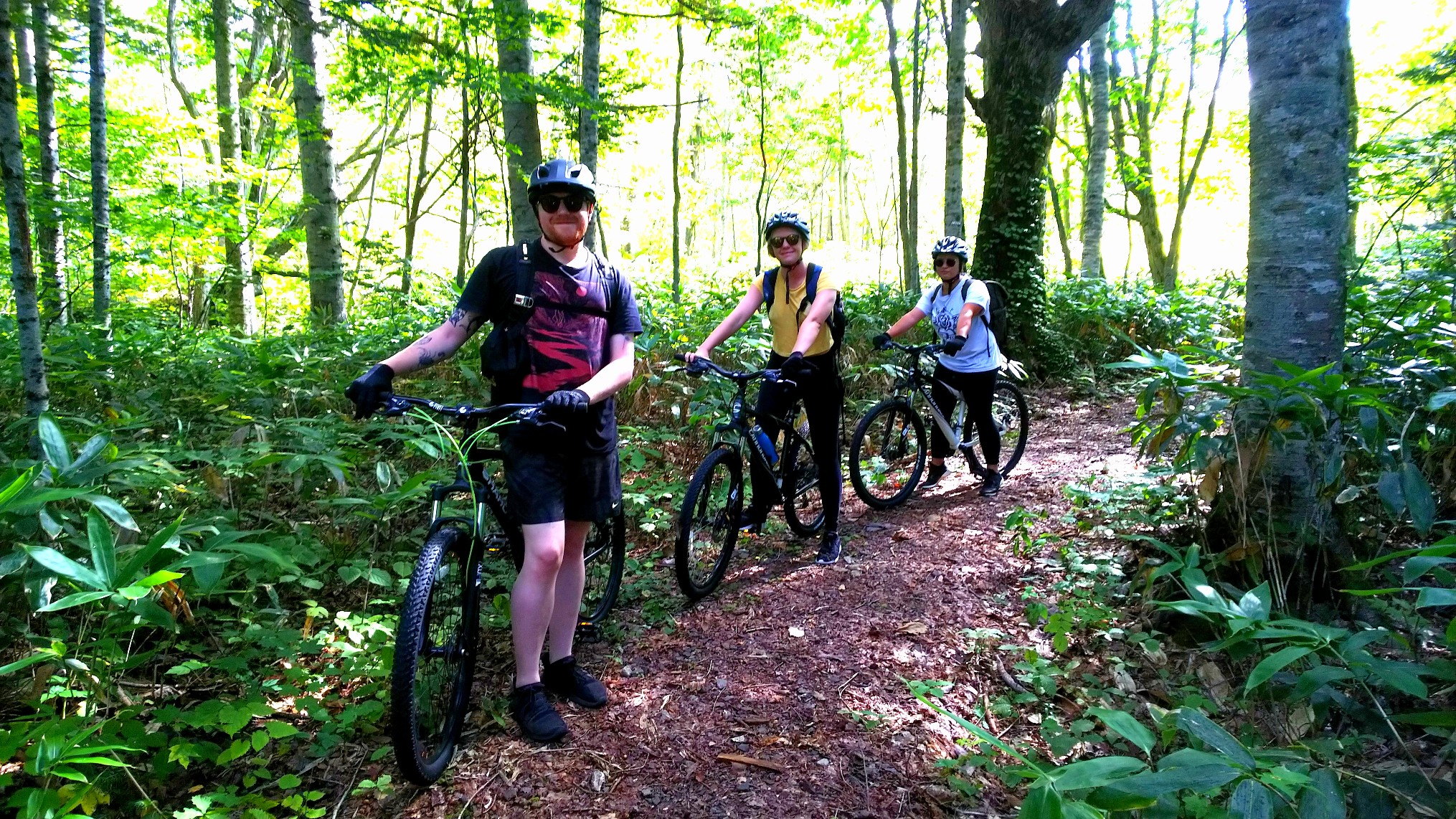 【無料送迎付き】サイクリングガイド付き　MTBのっぽろの森 半日ツアー