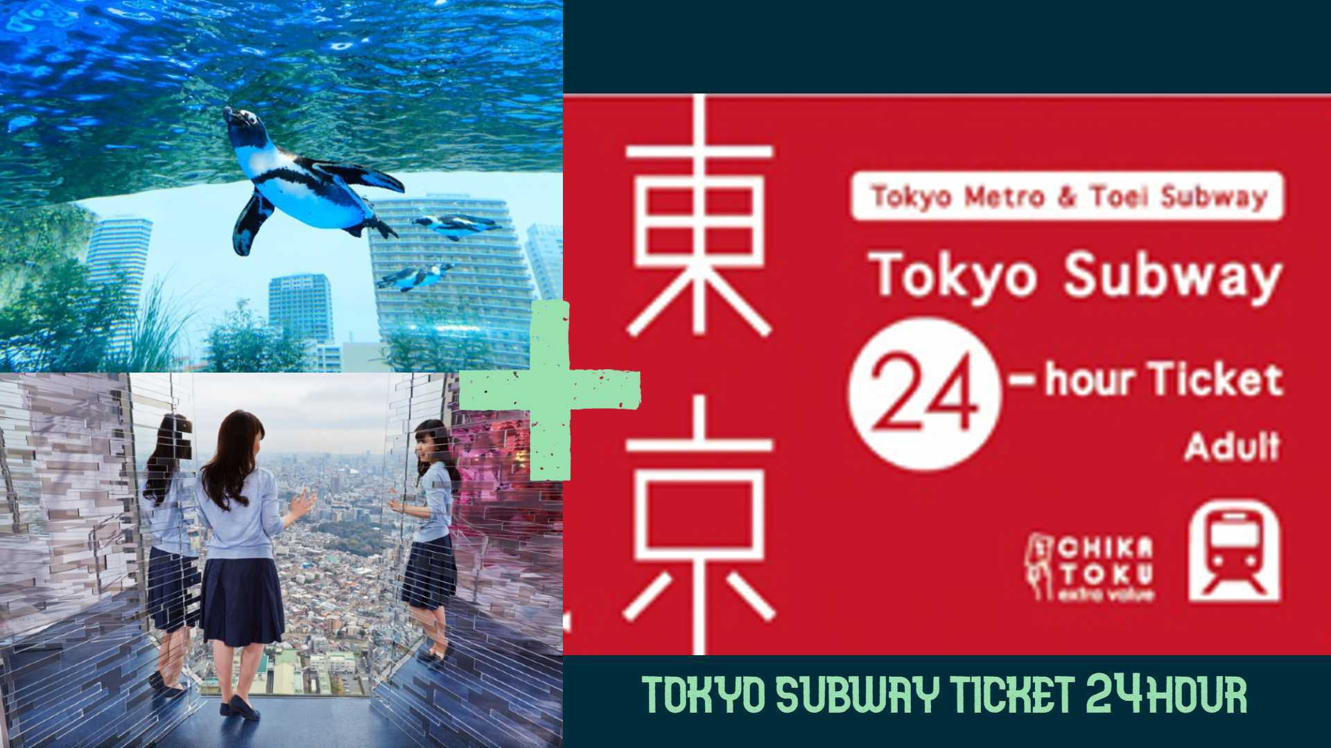 SUNSHINE陽光水族館+SKY CIRCUS陽光60瞭望台門票＆Tokyo Subway Ticket 24小時乘車券優惠套票【最高立省JPY 800 !】