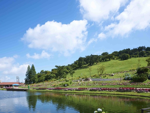 六甲山アスレチックパークGREENIA 入場券