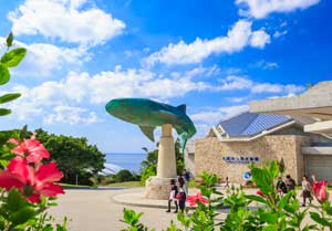 沖繩美麗海5 PASS・5景點套票（美麗海水族館+15景點任選4處）