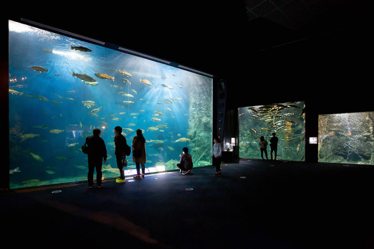 Chitose Aquarium E-Tickets