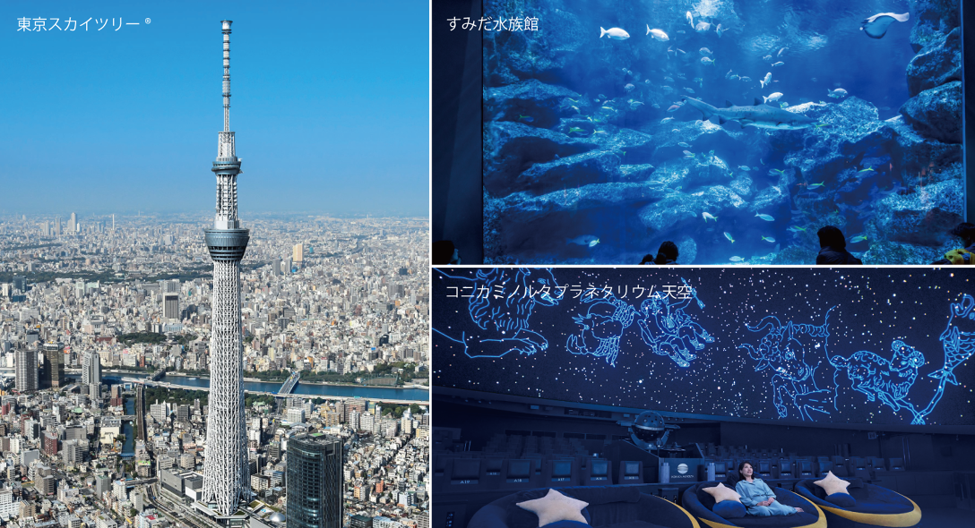 お正月限定企画 東京スカイツリータウン 特別エンジョイパック プラネタリウム天空鑑賞 すみだ水族館入場プラン 東京スカイツリー オンライン予約 購入サイト Linktivity Activity Reservation System お正月限定企画 東京スカイツリータウン 特別エンジョイパック プラネタリウム天空鑑賞 すみだ水族館入場プラン 東京スカイツリー オンライン予約 購入サイト Linktivity Activity Reservation System