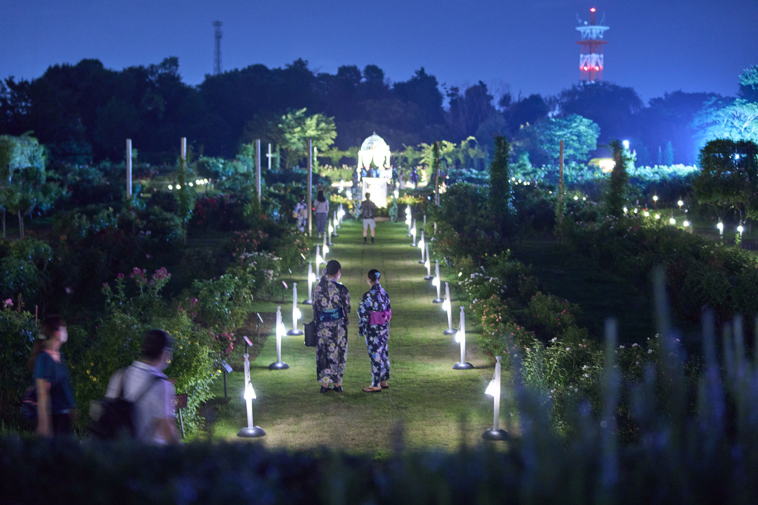 Chiba Yachiyo City Keisei Rose Garden Admission E-ticket