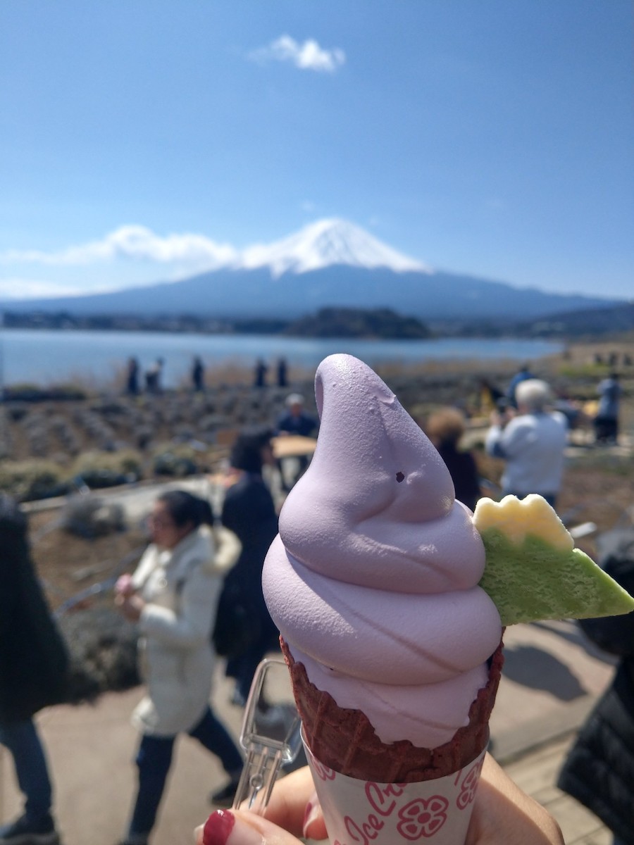 Mt Fuji Day Tour with Kawaguchiko Lake