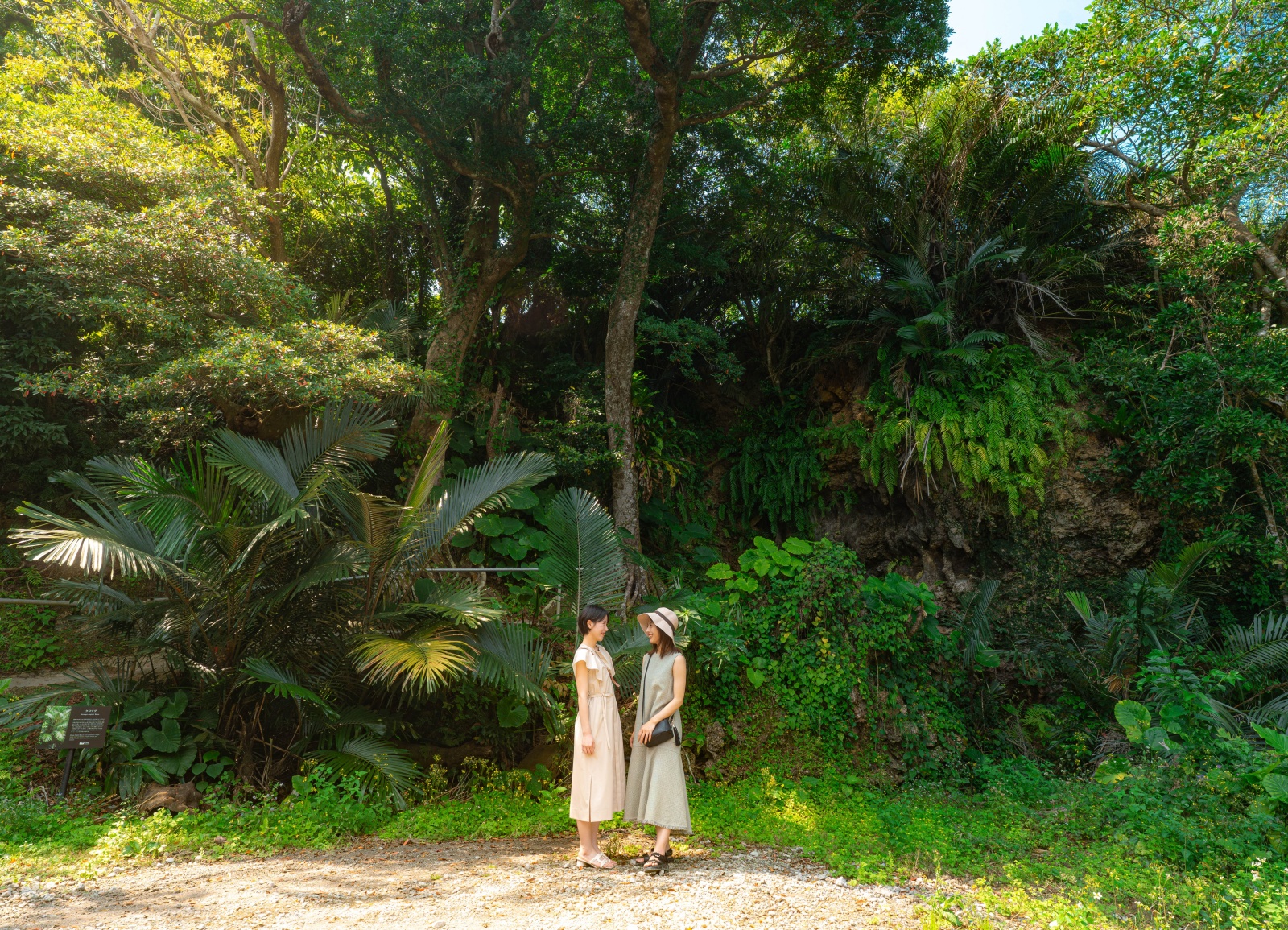 沖縄県 うるま市 CAVE OKINAWA  入場チケット