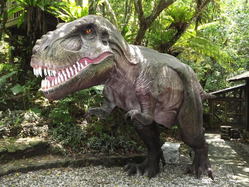 沖縄 やんばる亜熱帯の森DINO恐竜PARK 入園チケット