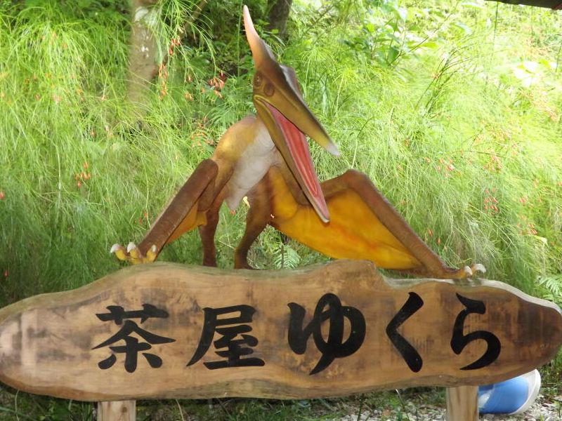 Dino Park Yanbaru Subtropical Forest Entry Ticket in Okinawa