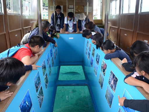 高知 土佐 グラスボートで楽しむ海底散歩!乗船Eチケット【現地購入価格より10% OFF】