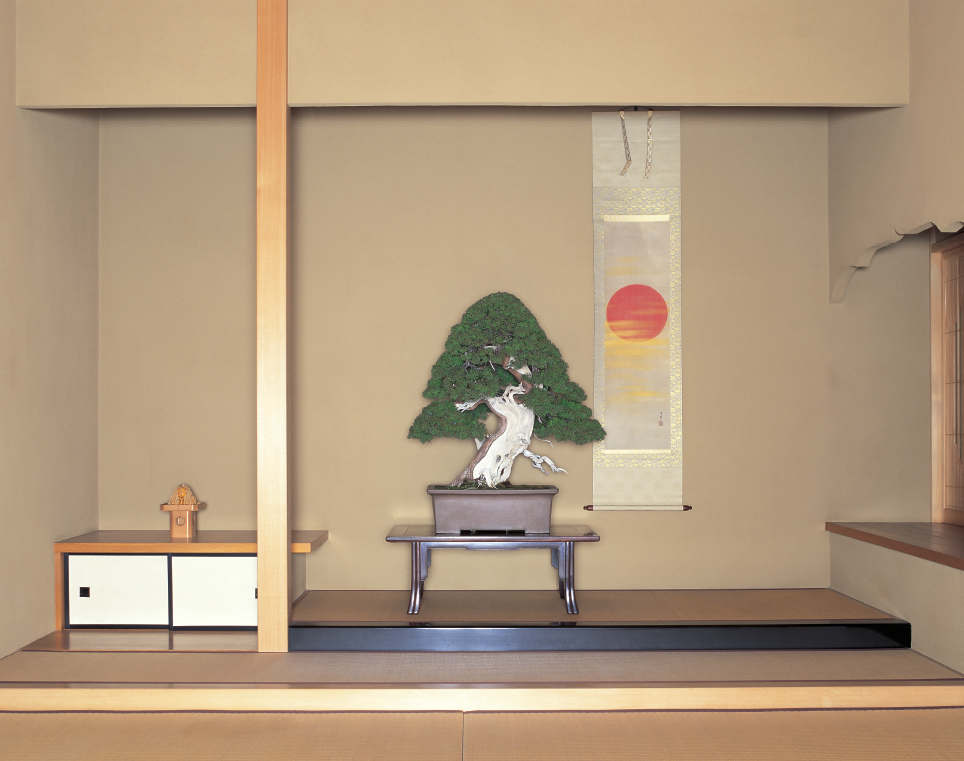 Shunkaen Bonsai Museum Tokyo E-Tickets (Tea Included)