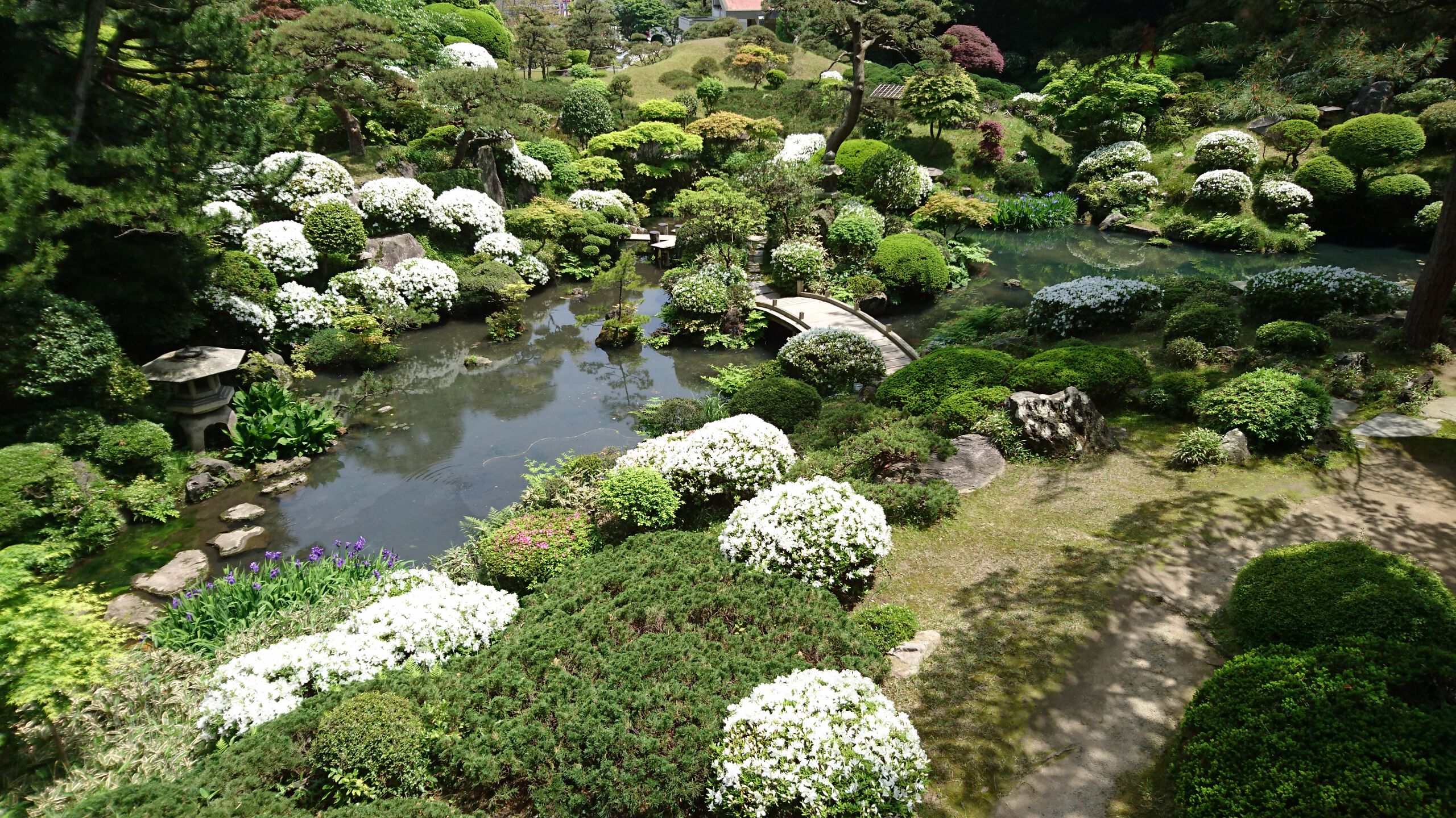 Homma Museum of Art Admission E-Ticket + Seienkaku Villa & Kakubu-en Garden