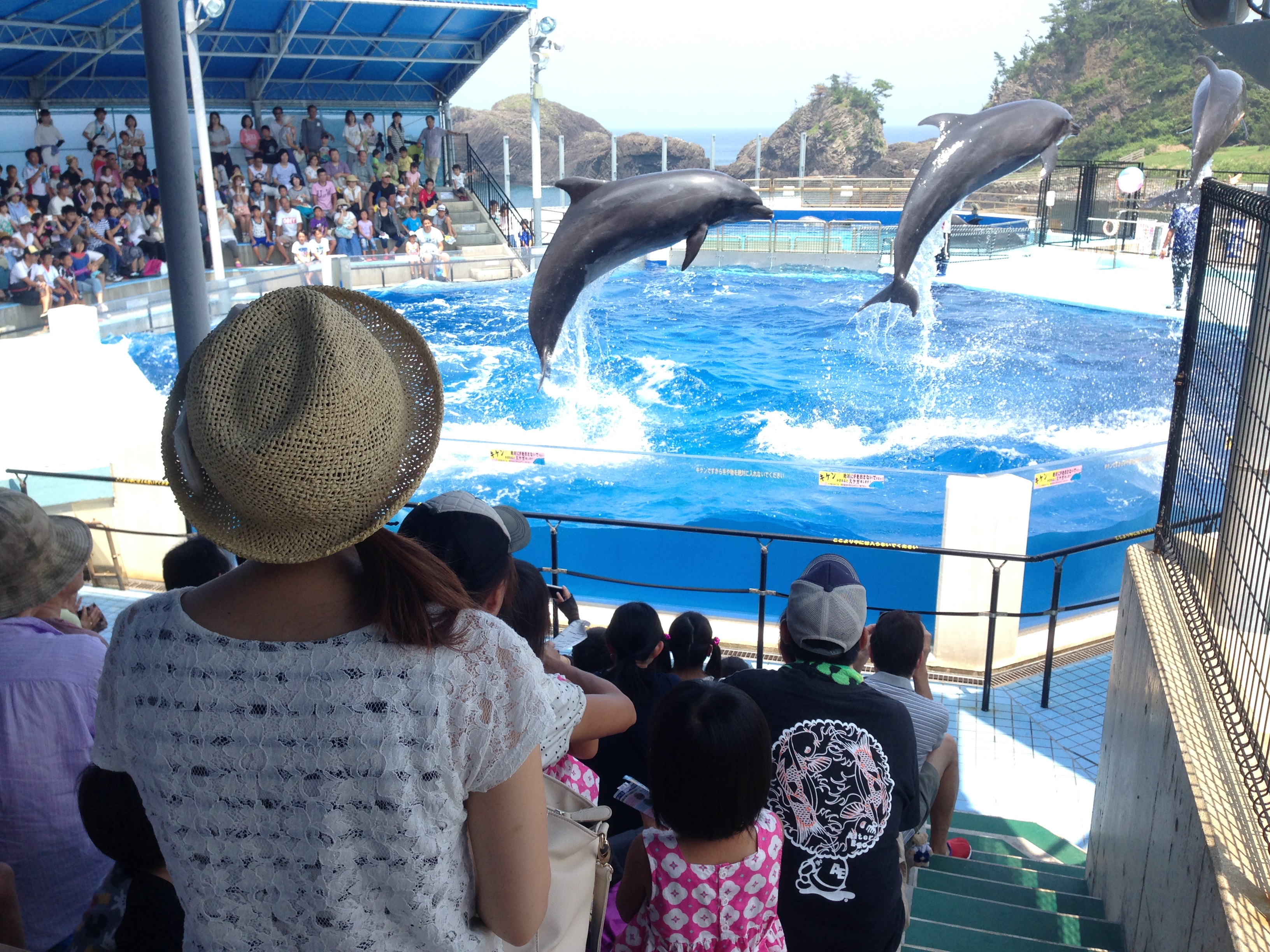 Echizen Matsushima Aquarium Fukui Same-Day & Advance E-Tickets (Advance E-Tickets: 60–220 JPY Off the Regular Price Sold Onsite!)