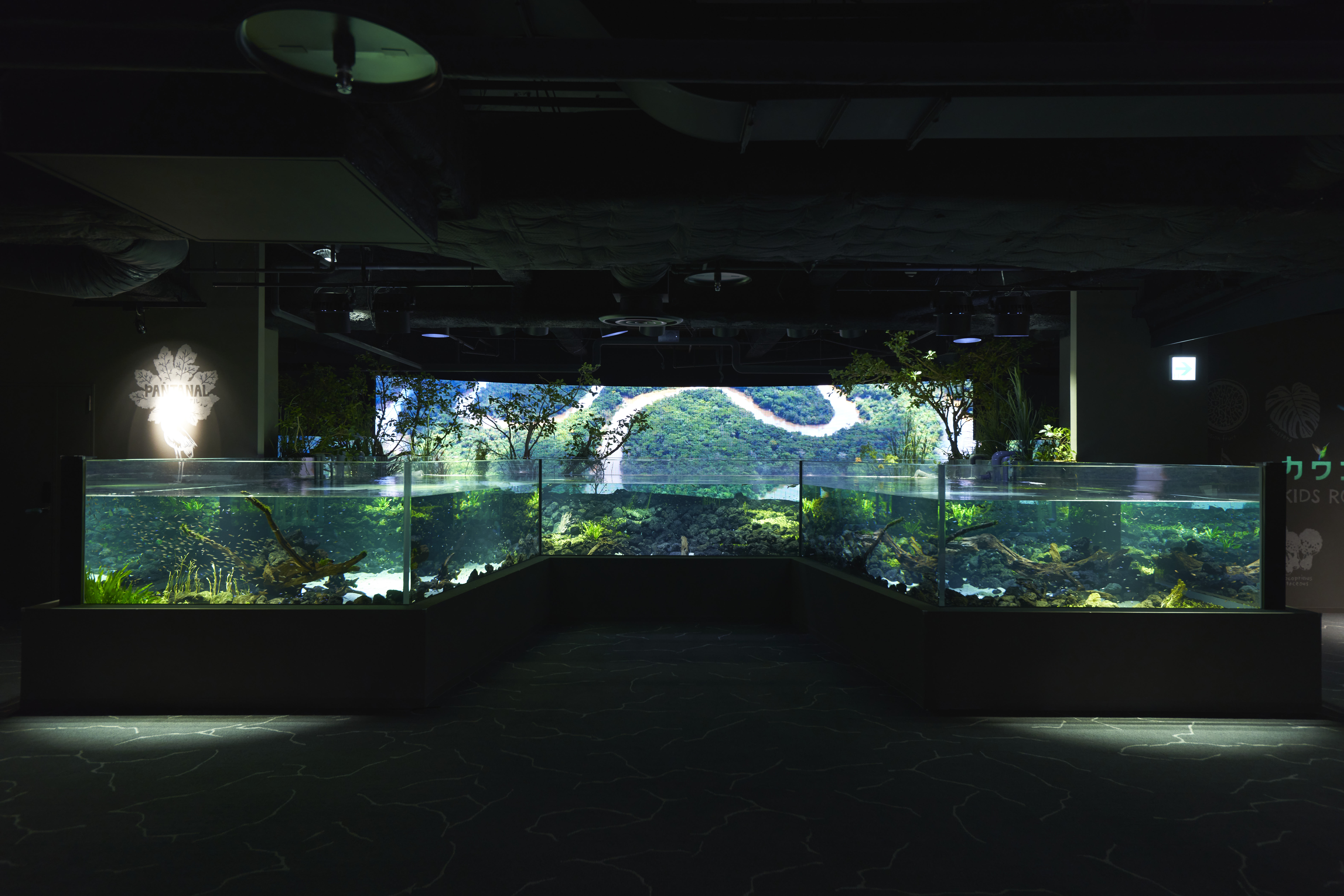 Kawasui Kawasaki Aquarium Admission E-Voucher– Choice of Deals!