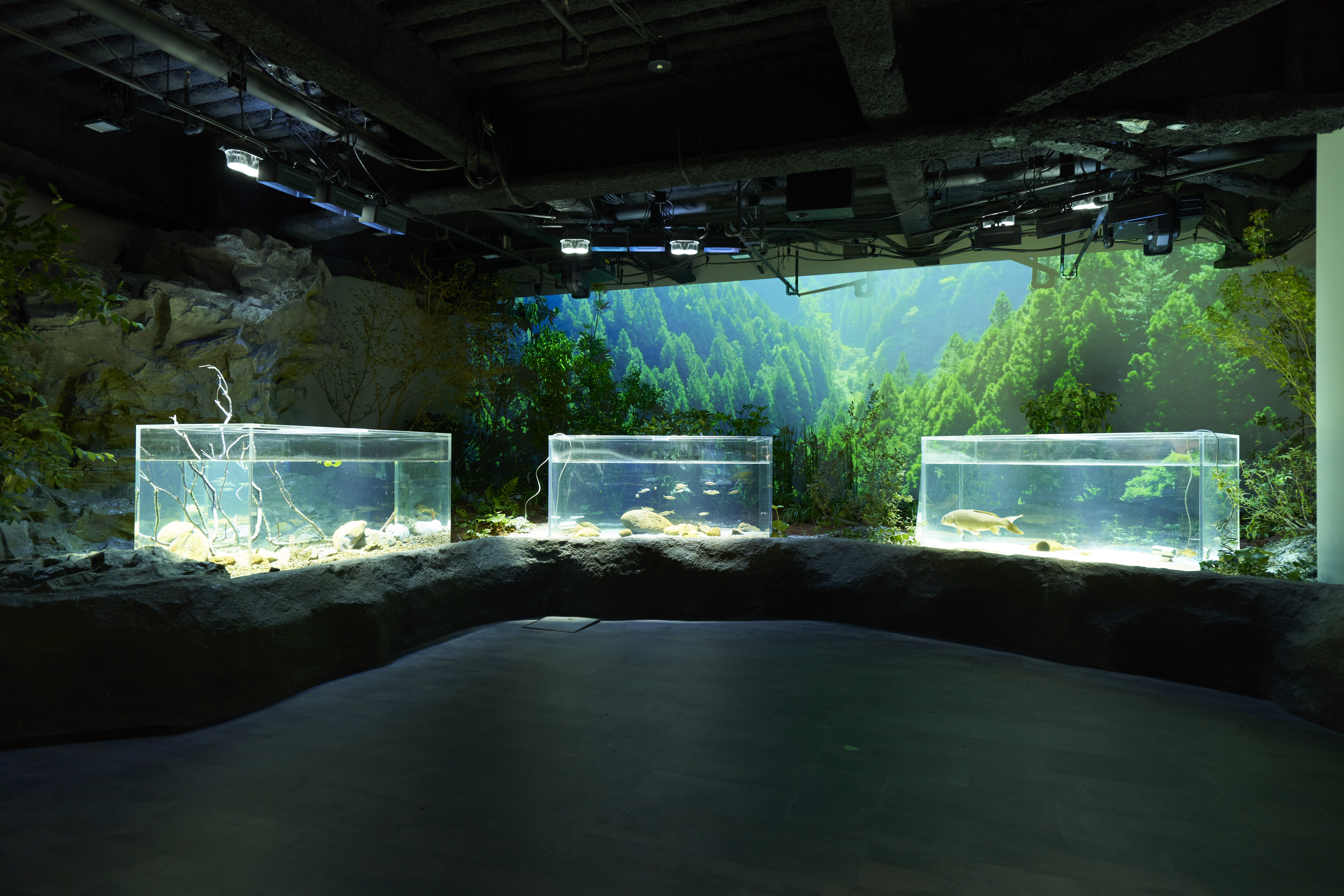 Kawasui Kawasaki Aquarium Admission E-Voucher– Choice of Deals!
