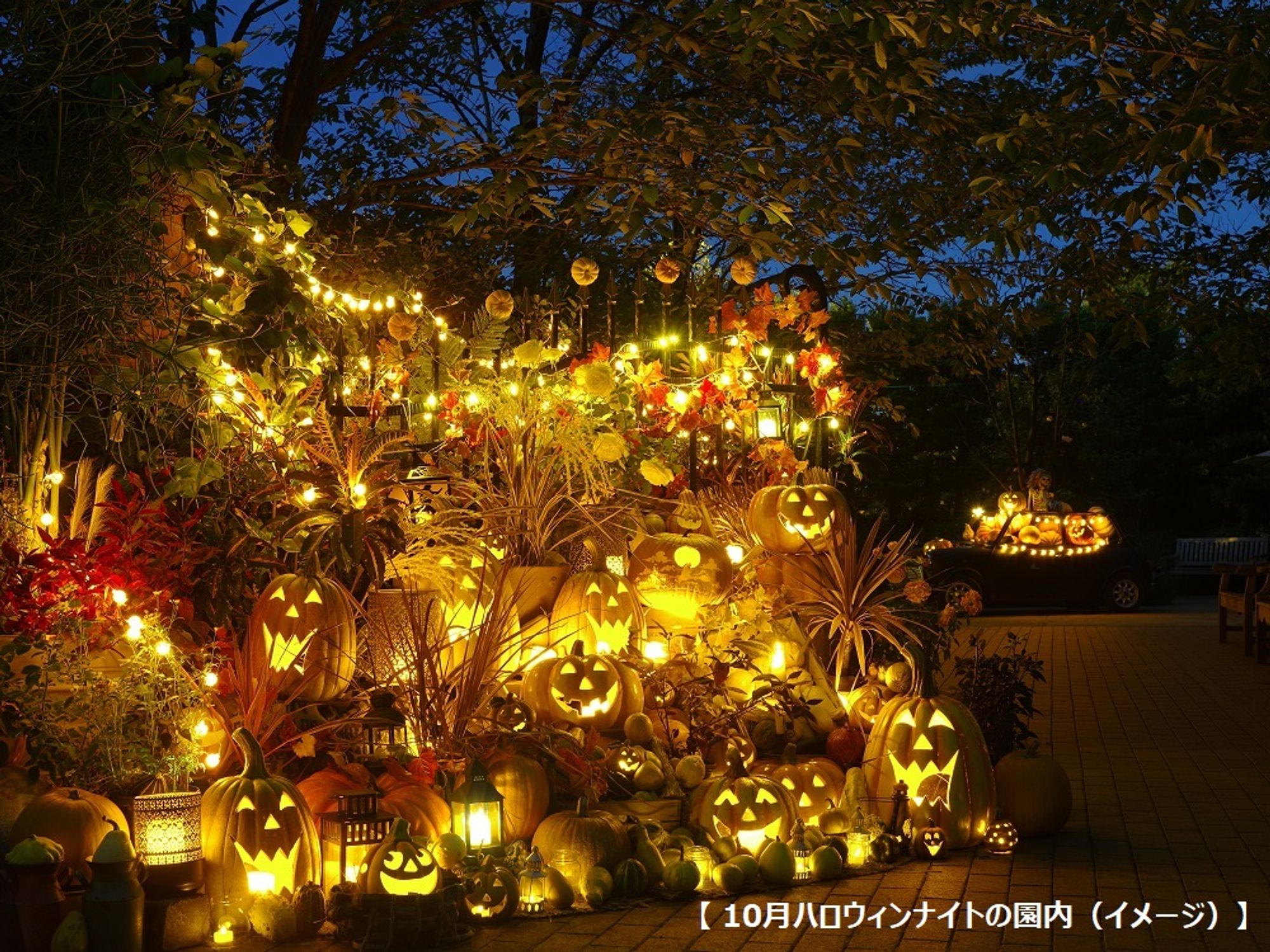 横浜イングリッシュガーデン 入園Eチケット＜日付指定＞