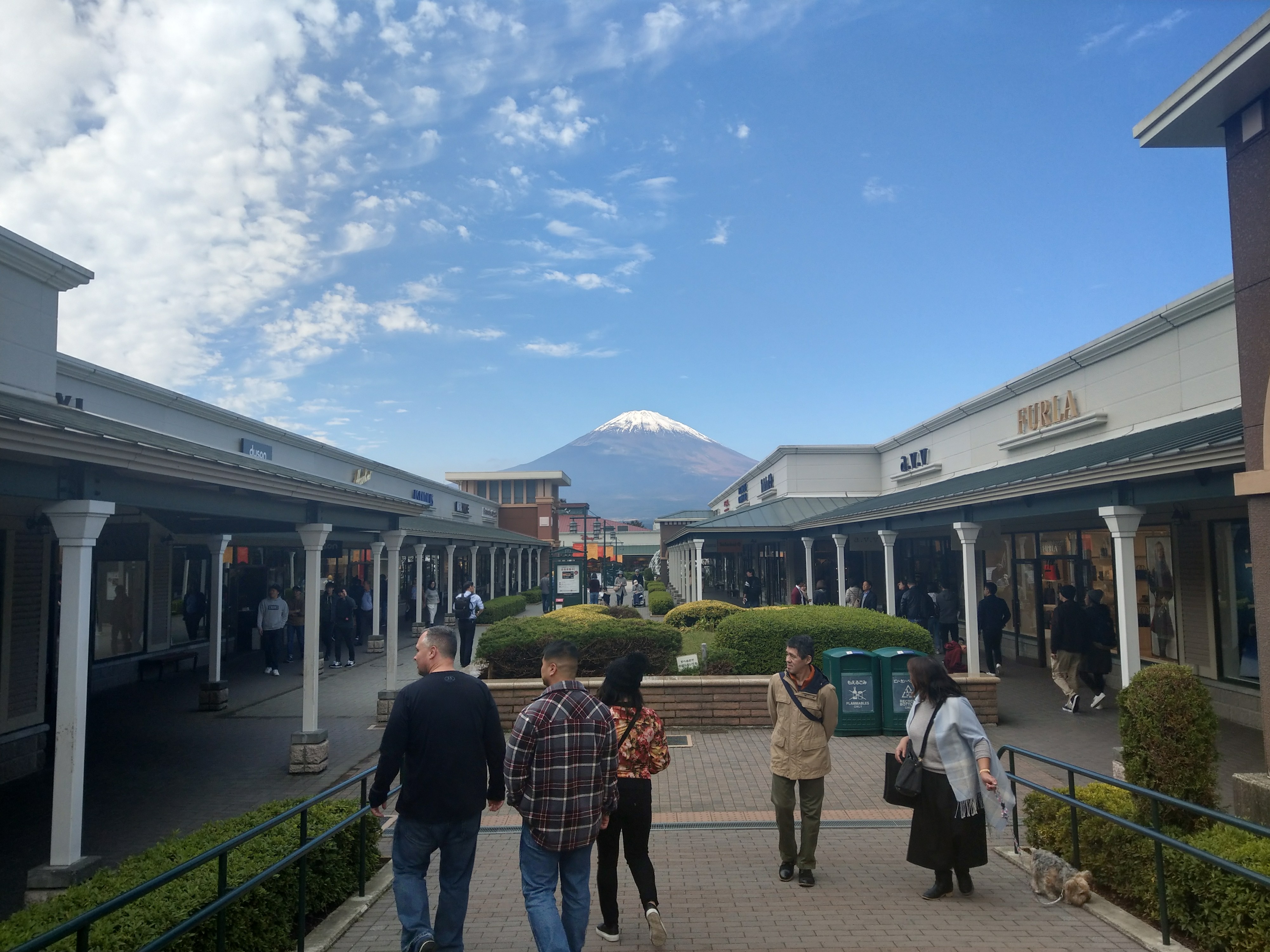 Mount Fuji Panoramic View And Shopping Day Tour