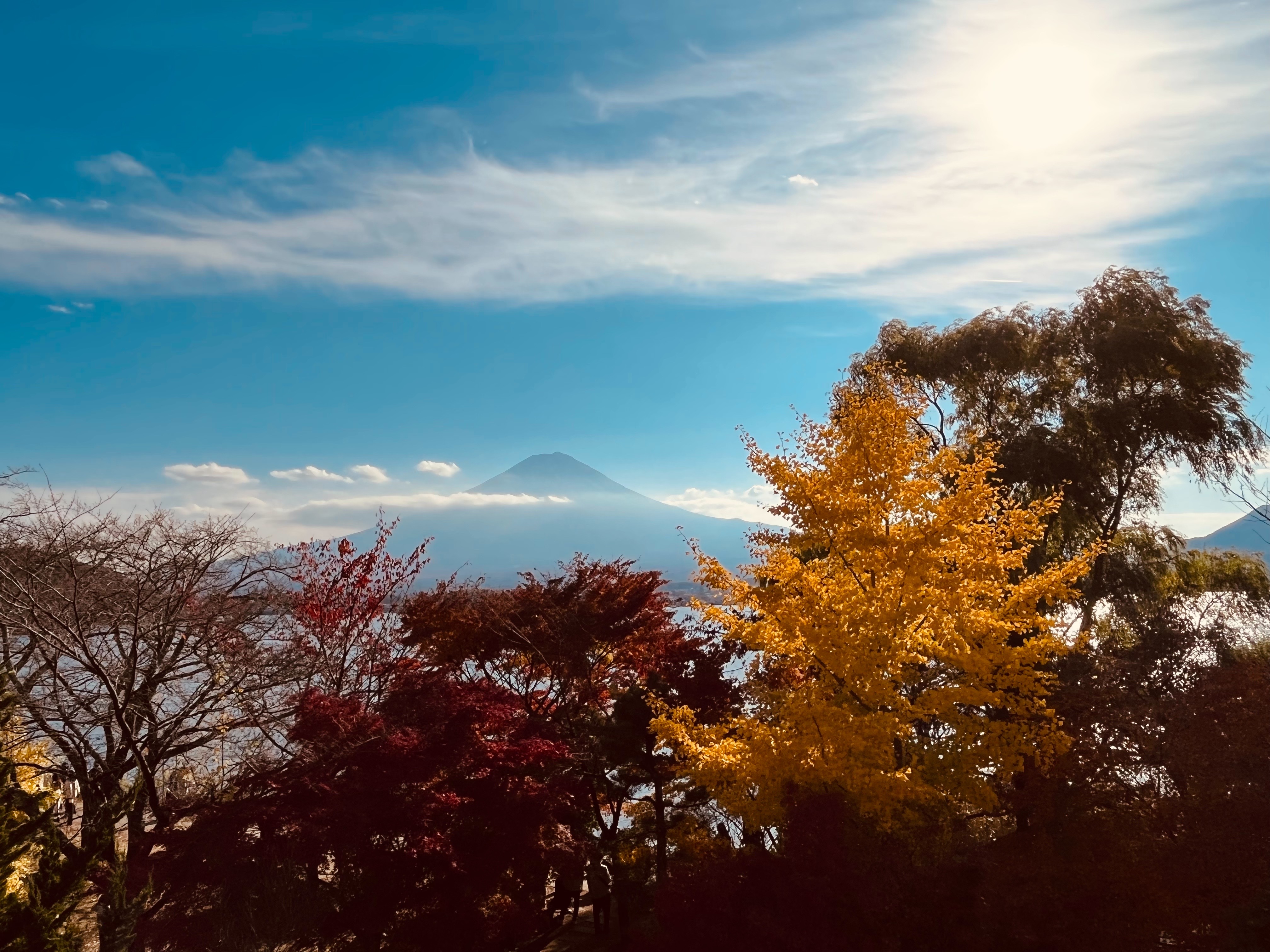 Mount Fuji Panoramic View And Shopping Day Tour