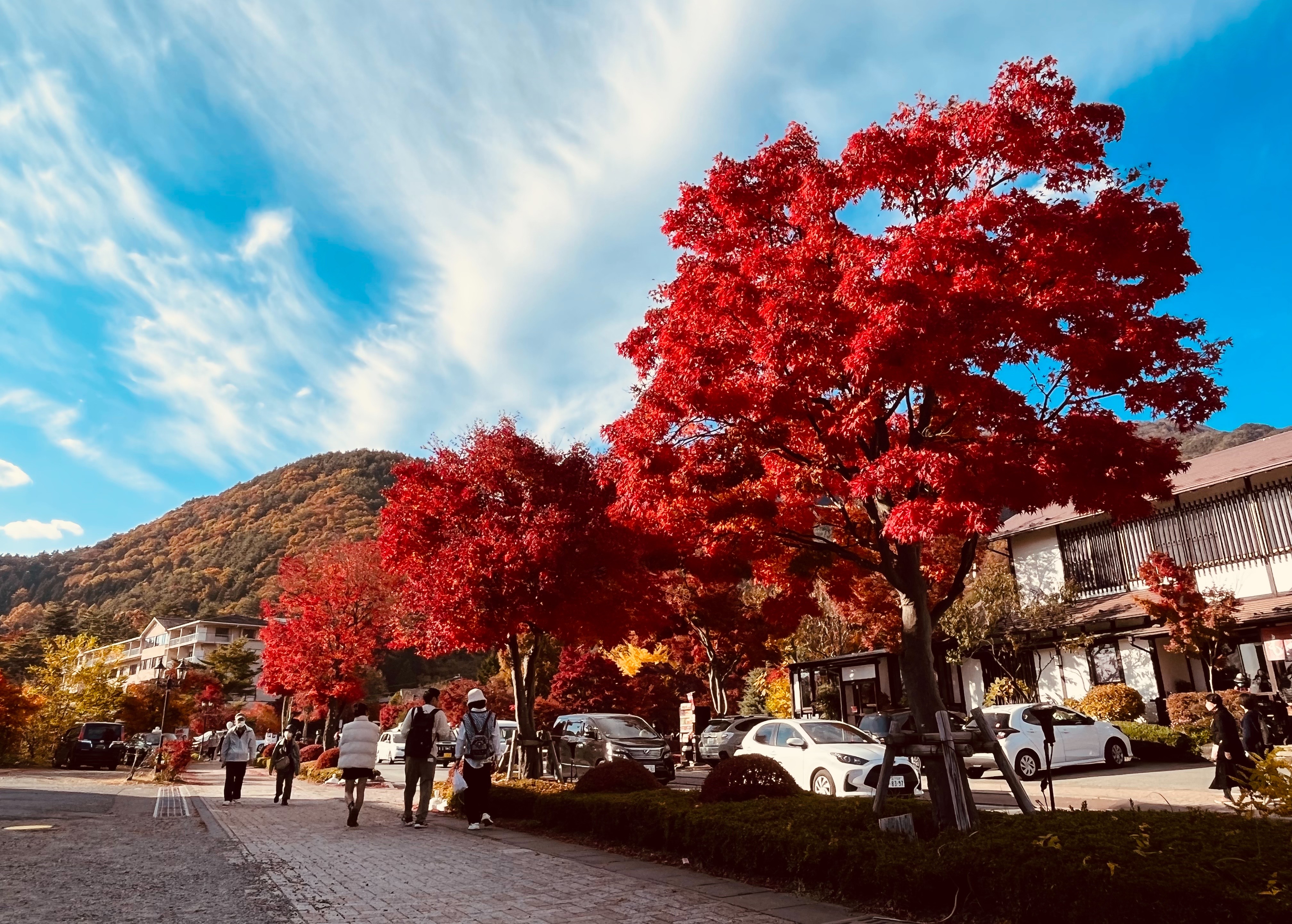 Mount Fuji Panoramic View And Shopping Day Tour