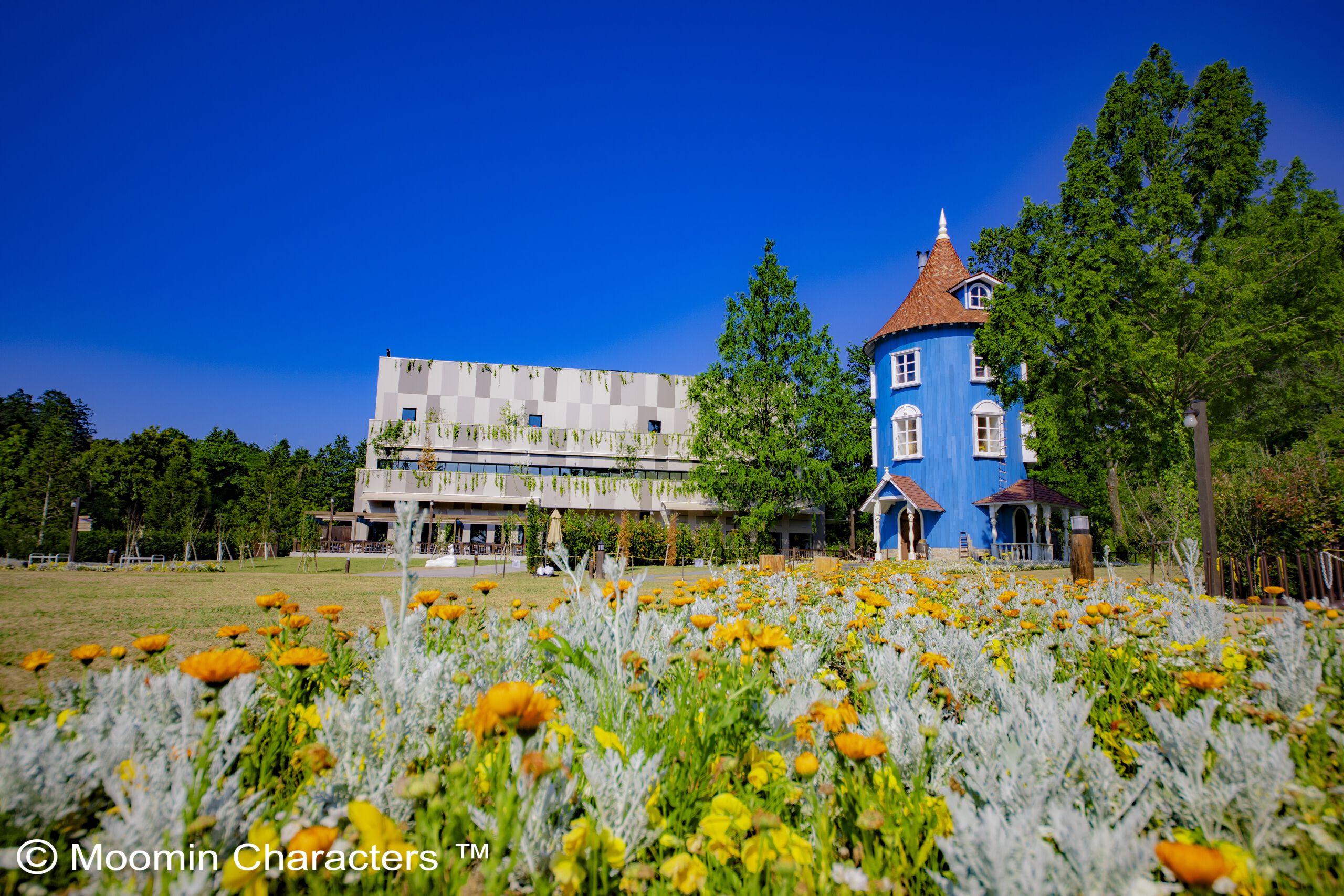 Moominvalley Park 1-Day Pass Advance E-Ticket 200 JPY OFF vs Same-Day Tickets Sold Onsite!