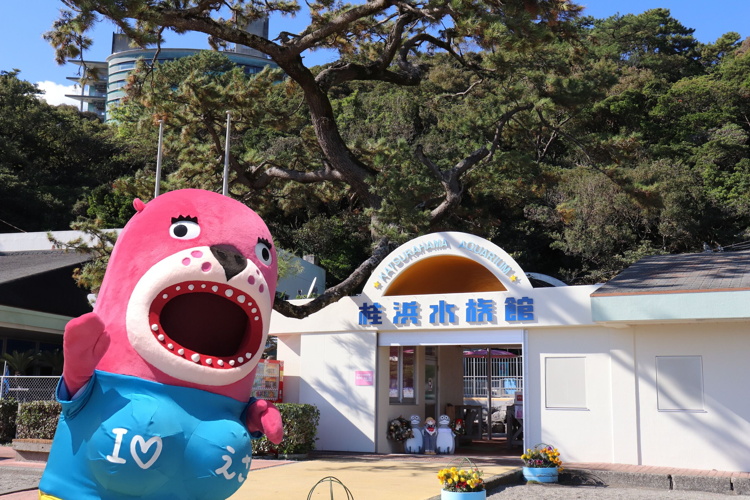 高知 桂浜水族館 入館Eチケット