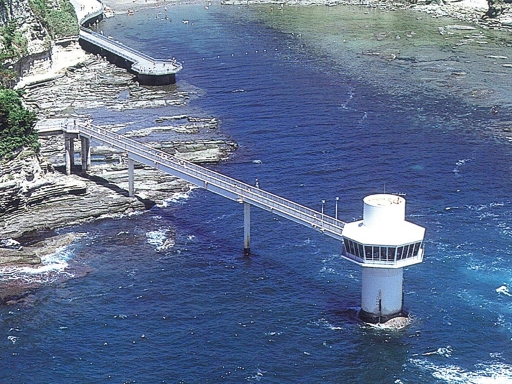 千葉 かつうら海中公園 海中展望塔 入場Eチケット